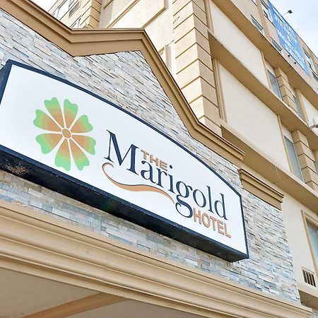 The Marigold Hotel Μπράμπτον Εξωτερικό φωτογραφία