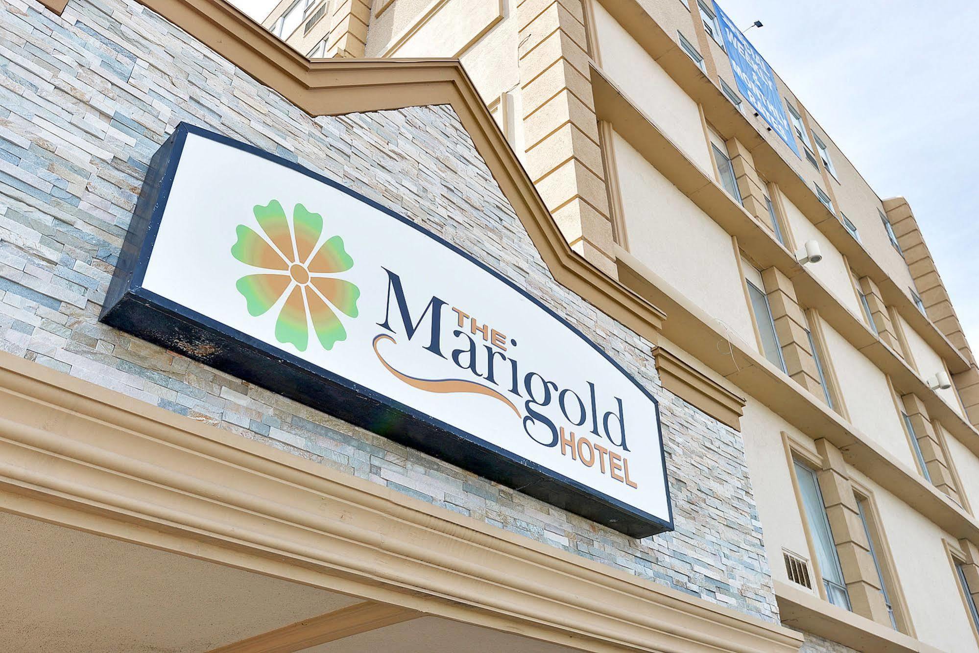 The Marigold Hotel Μπράμπτον Εξωτερικό φωτογραφία